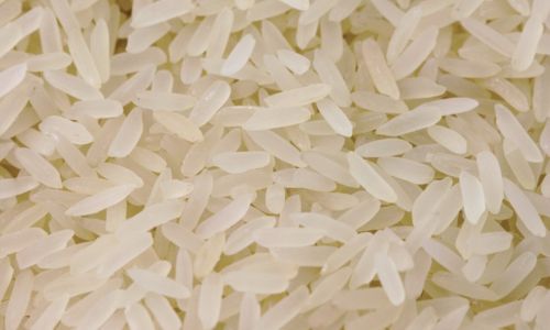 Rice & Silk: The Scent of Familiarity
